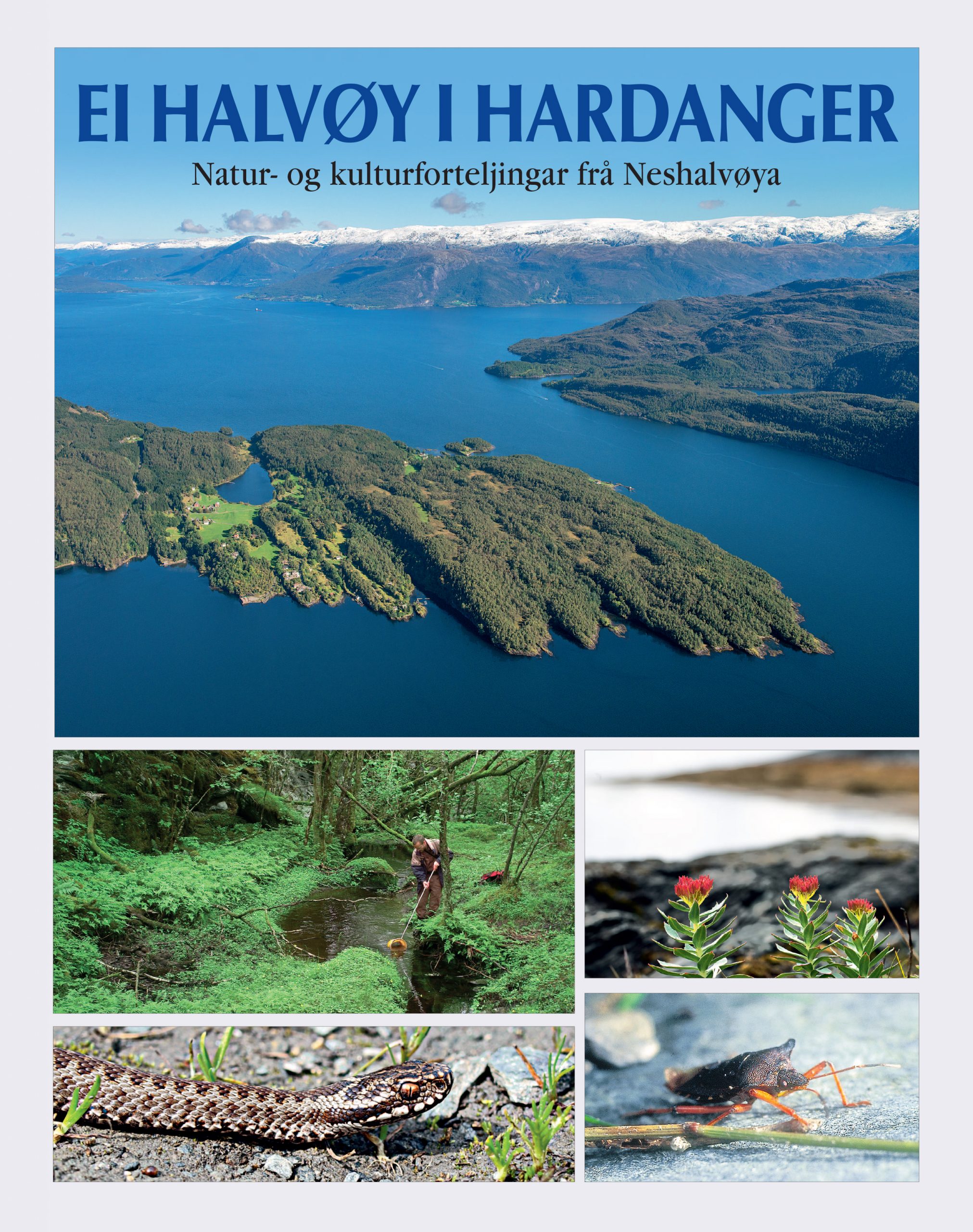 Read more about the article EI HALVØY I HARDANGER